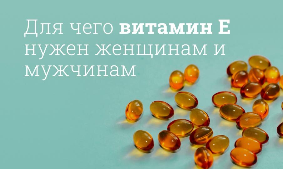 Для чего нужен витамин Е, в каких продуктах содержится, как принимать