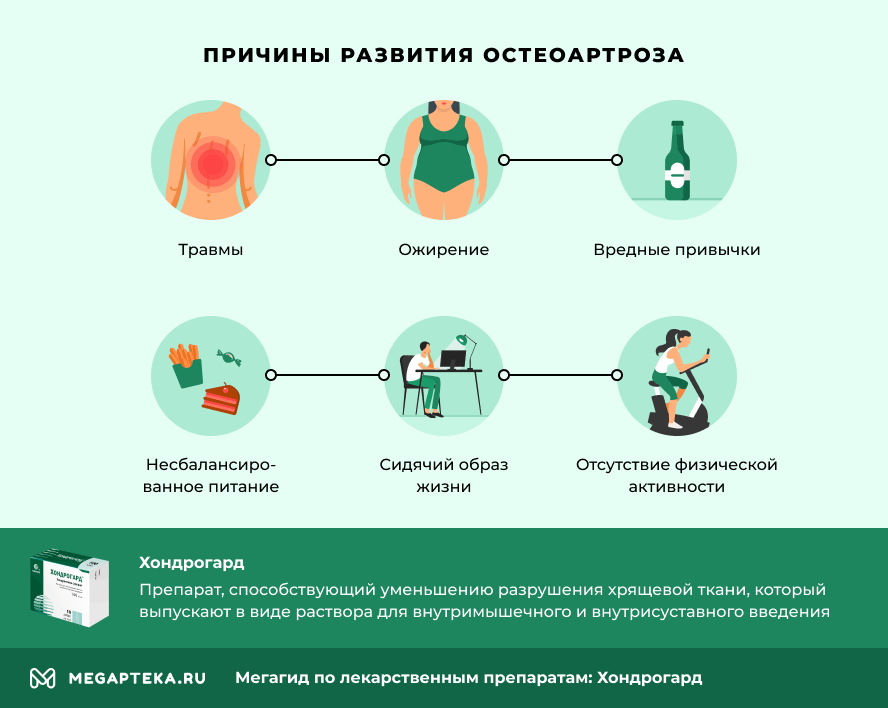 Как правильно колоть хондрогард схема