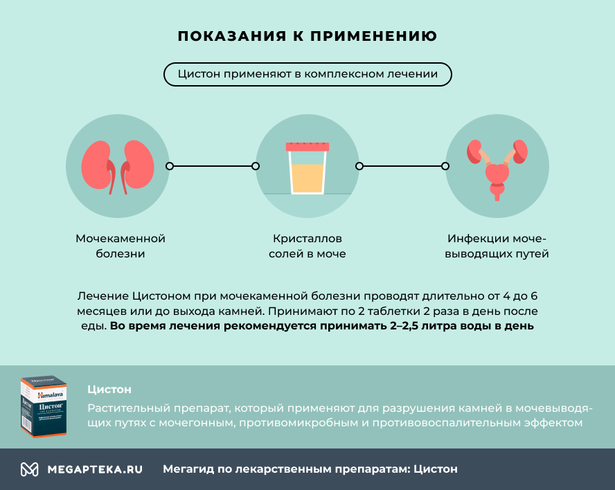 Цистон схема приема