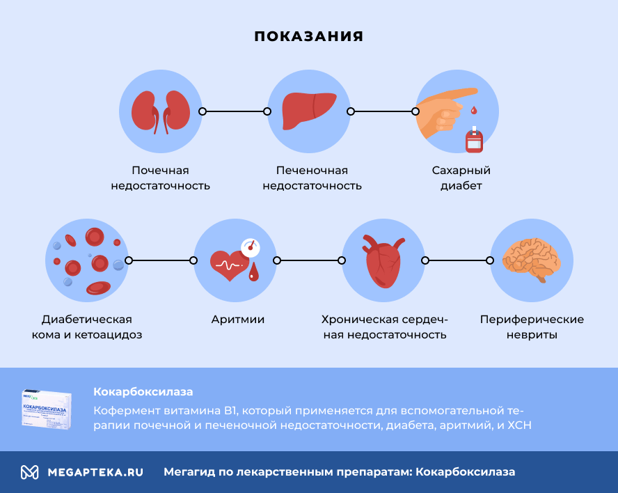 Чем Можно Заменить Кокарбоксилазу