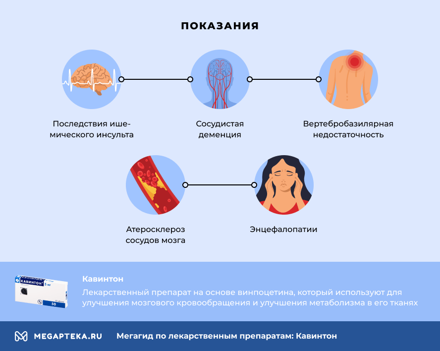 Калина от чего помогает